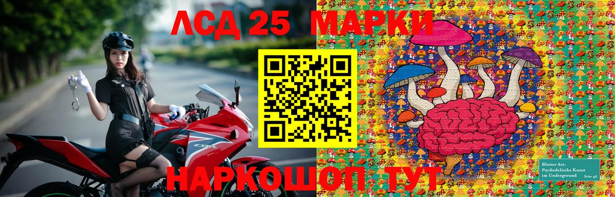 Марки NBOMe 1500мкг  Марки N-bome  Карачаевск  Вход с VPN  Марки NBOMe 1500мкг 