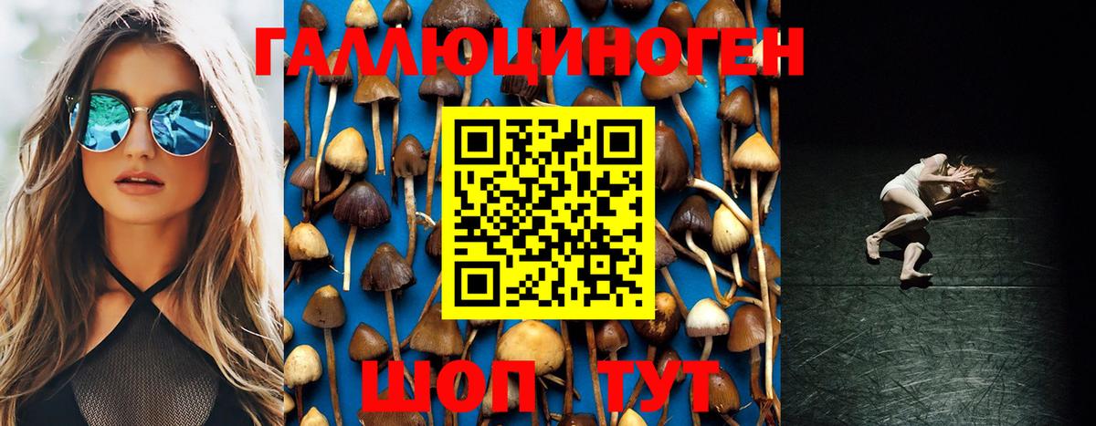 Карачаевск  Галлюциногенные грибы мицелий  Вход с VPN 